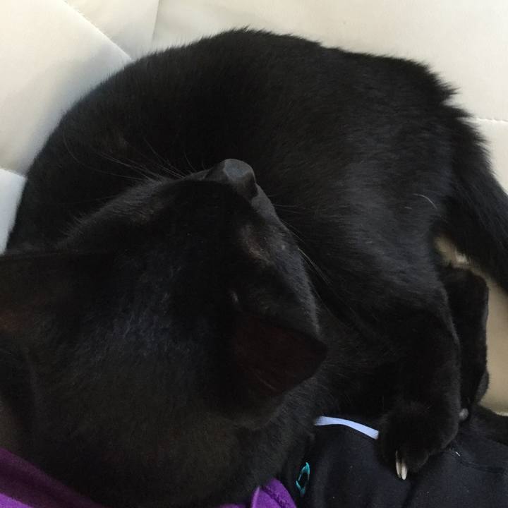 63e567f4 620f 4e97 bf86 8e32290ee9d7 1535291969806