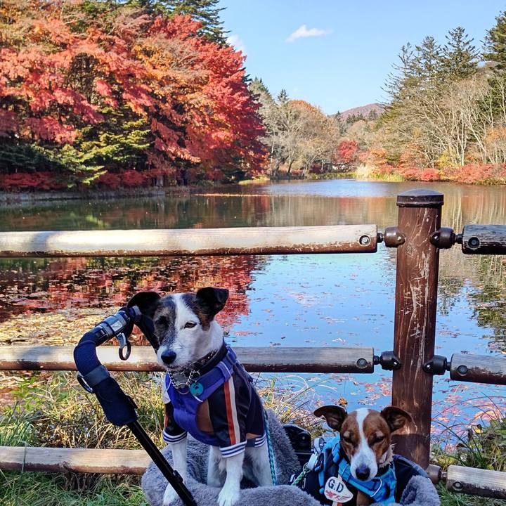 63e57d4a b0cc 4aff b632 613b3bf5d7e1 1667812271581