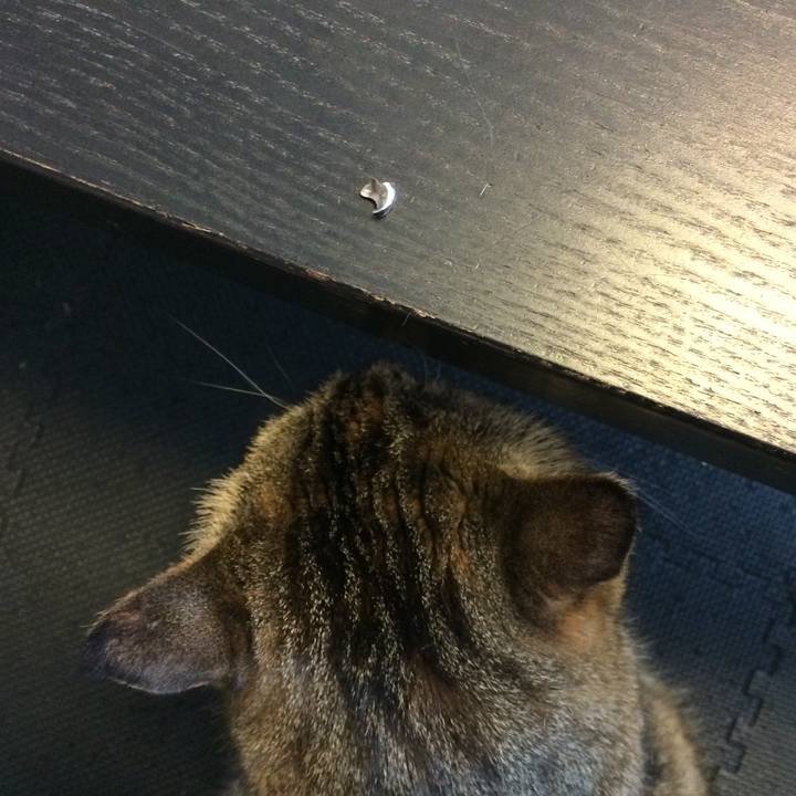 63e58586 d0c8 4e41 9209 6c473afdcfb7 1586409063015