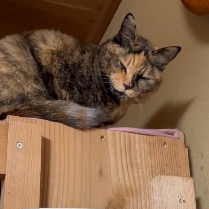 63e5afc3 dd97 4d22 b82a a3316b124b65 1769871071824