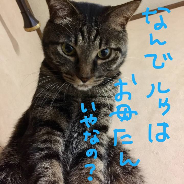 63e5bfb7 113e 40f8 97b8 fd91833a5c67 1536841271314