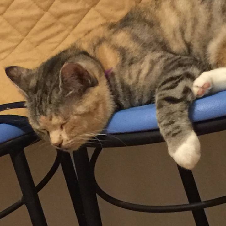 63e5cdf7 5904 427d 96cf be9bf738d16f 1560951260717