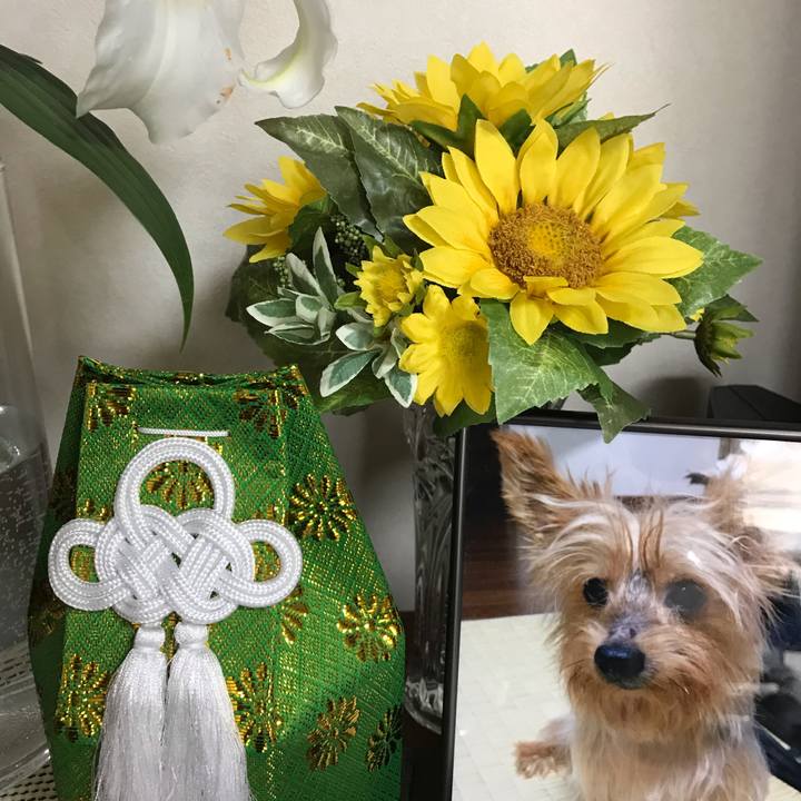 63e64143 13f9 4d92 b591 f3233e468c58 1561253247280