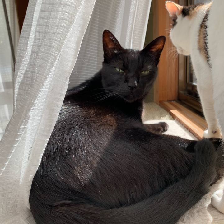 63e64553 22e7 4f6e 8f21 495633da41c5 1600650956670