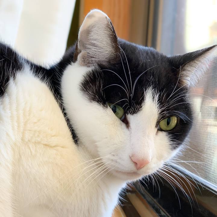 63e64c51 dc7e 4684 9c52 43cd97c17c07 1578967745135