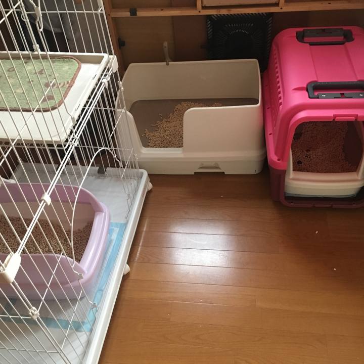 63e68c70 20cc 4ed5 8679 32dd7b4fad09 1537327658331