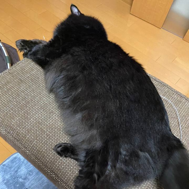 63e699ba 6bc4 4bb5 8bc5 0d60b177e822 1603275105540