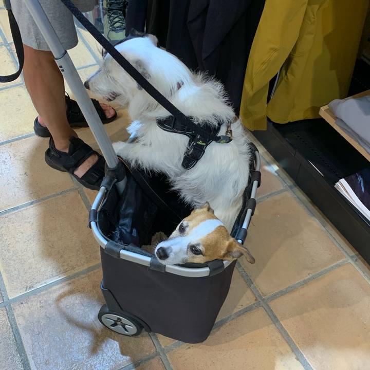 63e69af4 a65b 476c 8ab8 d8b68728776b 1596191325120