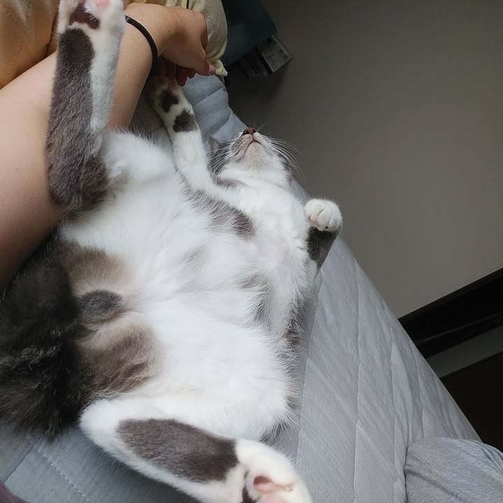 63e6b0ab d501 4961 9ade 691573efeee8 1592272801110