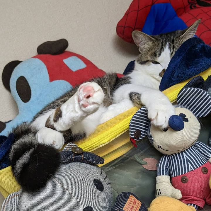 63e6bad2 f5b4 4482 985f 3a0fe99f176d 1683332941617