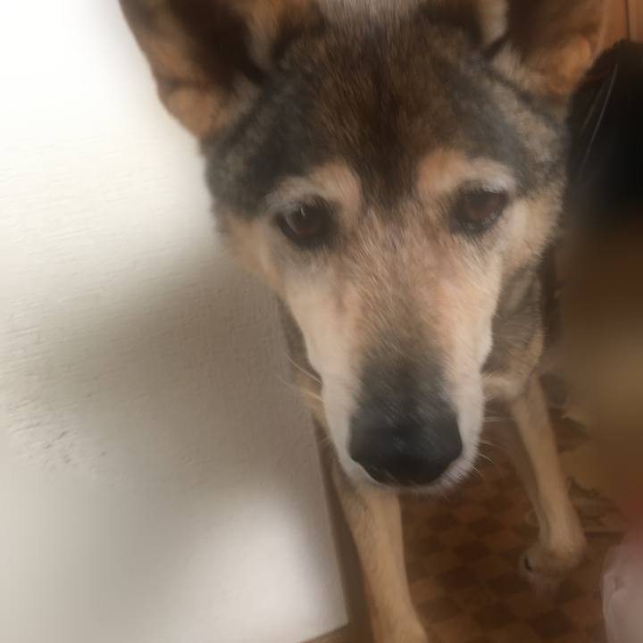 63e6ebee 022e 4786 a053 331124831648 1539213787753