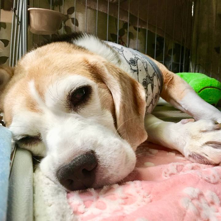 63e6ee7b 6ac3 4eaf bf8b 724c194ec515 1757645597679