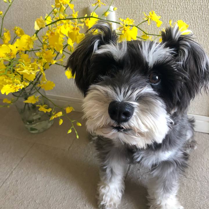 63e7743b 6d68 4379 ab86 1bbd110772c2 1599789929522