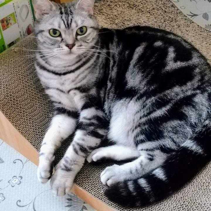 63e7899b d9ec 4f27 b12d 6edf2479fe39 1684930253598