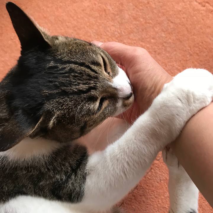 63e7adca fd85 4415 89b0 54fd26ada1f4 1516325617043