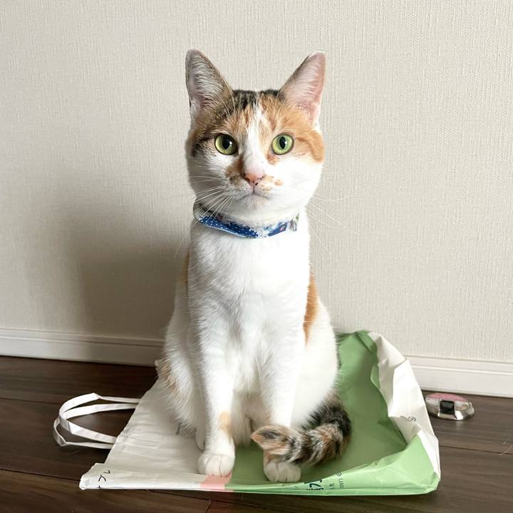 63e7d275 b0a8 48a4 b072 a2c4b3cb7daf 1693019069905