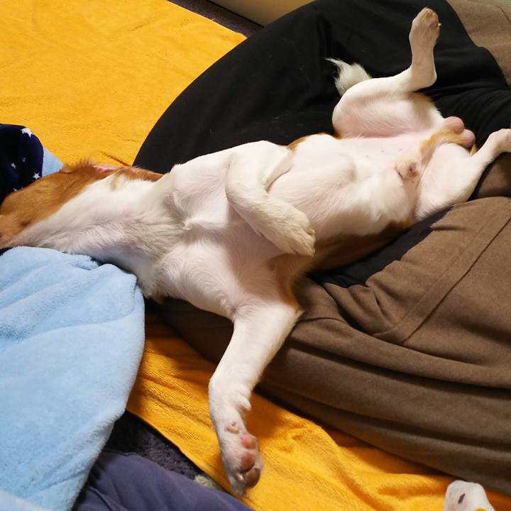 63e7d6ba 6298 45df 8ba5 a6da31b4831d 1553167658752