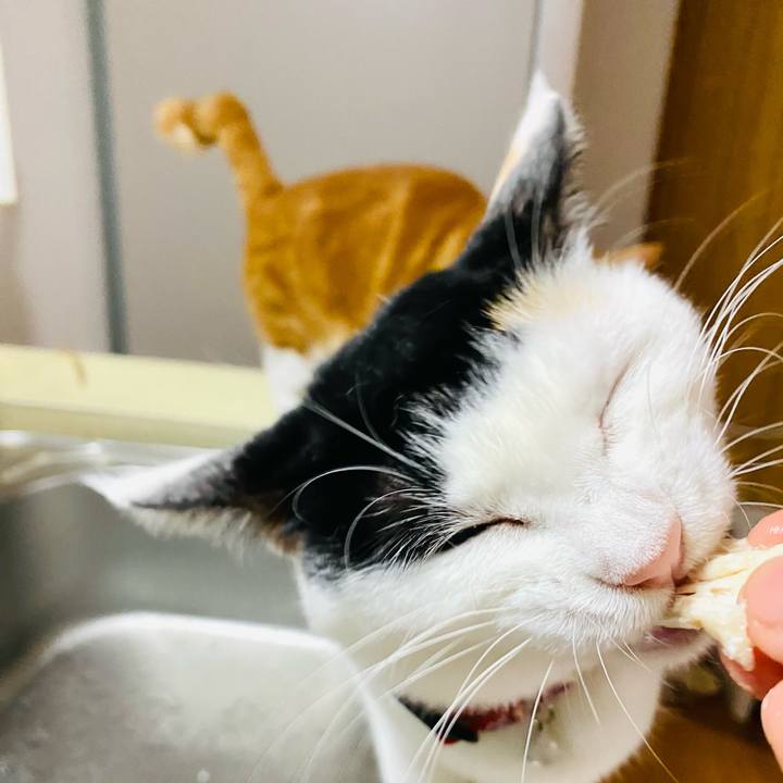 63e81dca f868 43f5 8e0b deebd921a9f2 1669644586641