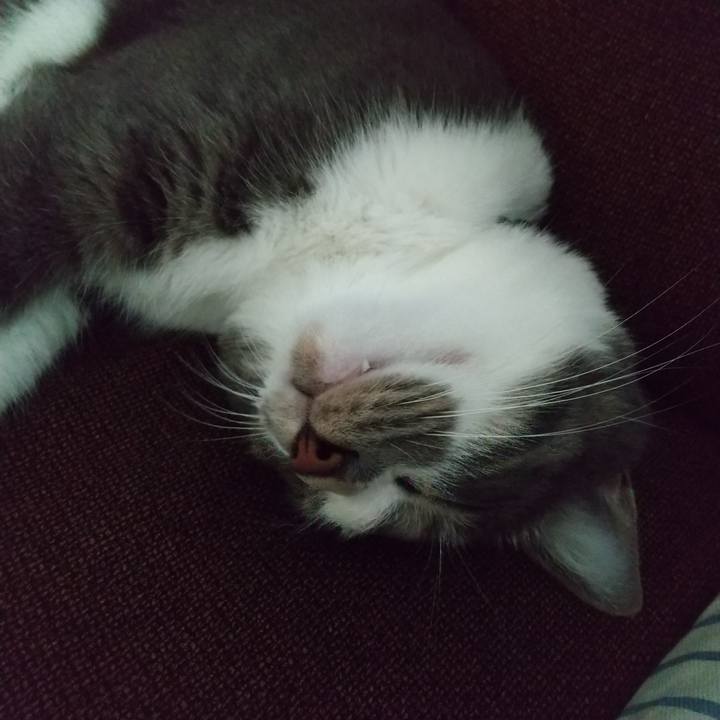 63e827f3 fab0 4c6b 836c a45385e70b31 1601185829558