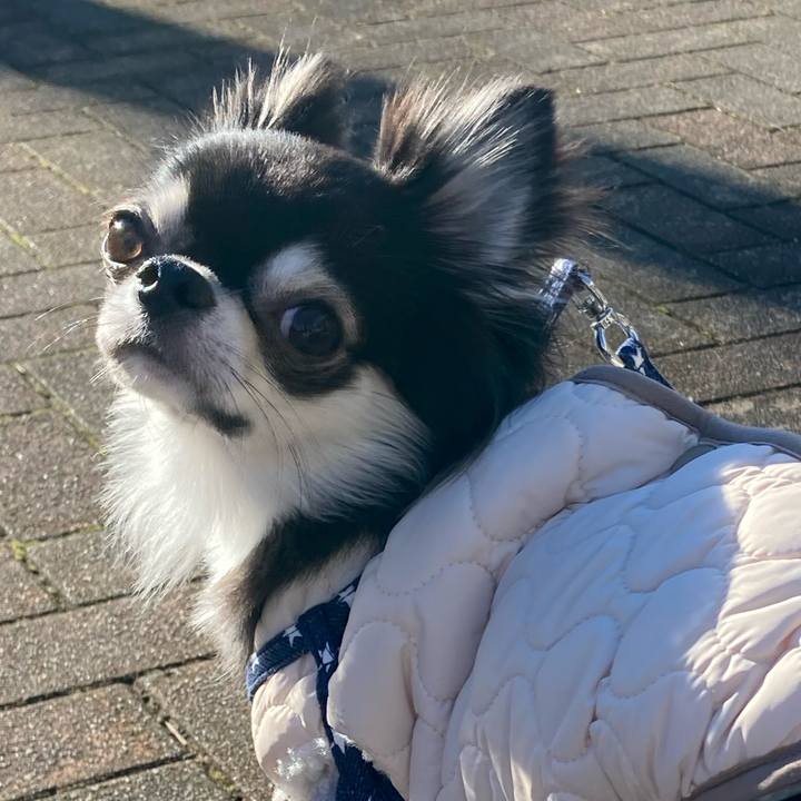 63e84fa9 bda3 4a8f b7e5 2231f27134c3 1639803800347