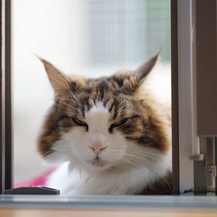 63e881ef 92df 41a4 830d 0bcefc617680 1770364344532