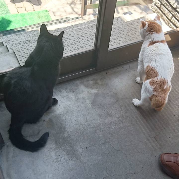 63e8cdb9 b69a 4c60 ac4c ca7c04ff8771 1557028156932