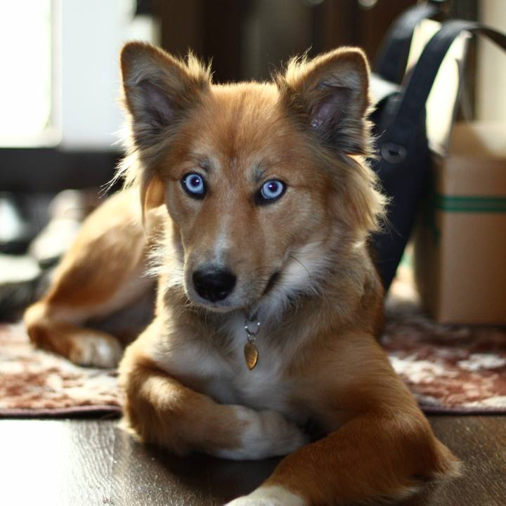 63e8d38f dd4e 471d a8e3 8a95d67f3dc3 1563101388334