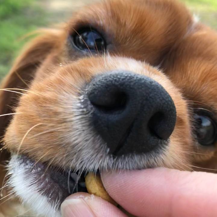 63e9060f ba6e 4dc5 b451 bd590bf84afd 1567314639328