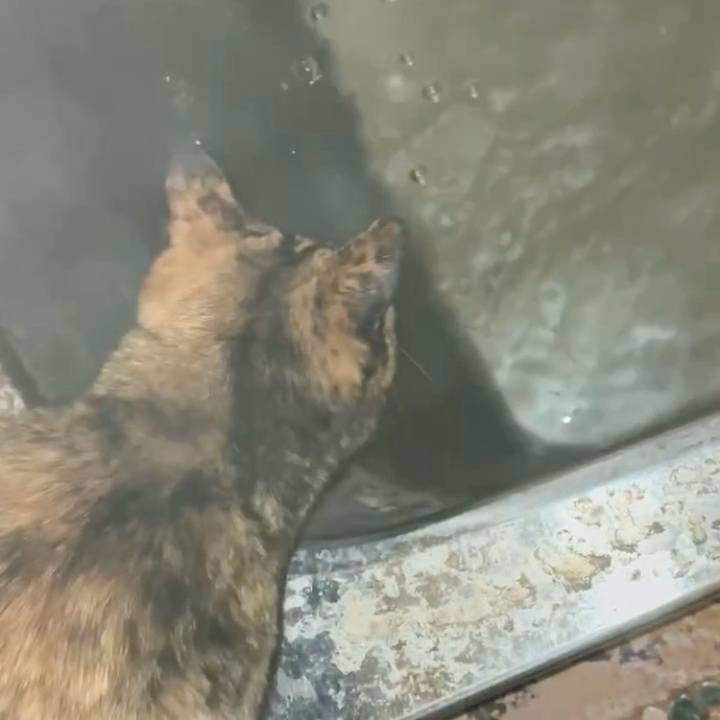 63e90a64 1d02 43c0 8d5d 465ba13f7aa6 1765228487503