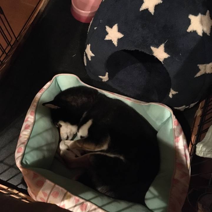 63e912c7 5e1d 421a 81bc 6641edbd494a 1602931348533