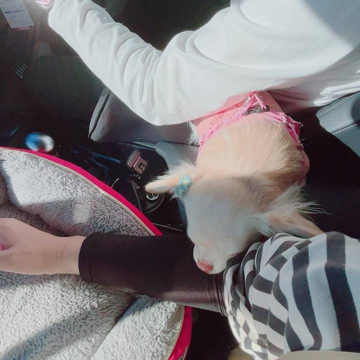 63e9732c 33e3 4b37 b5af bdef873b83dc 1700371283481