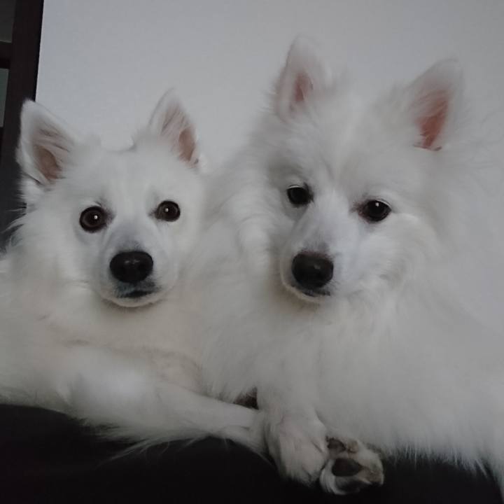 63e97b87 14bb 4edd a887 75b2bab05af1 1580362540784