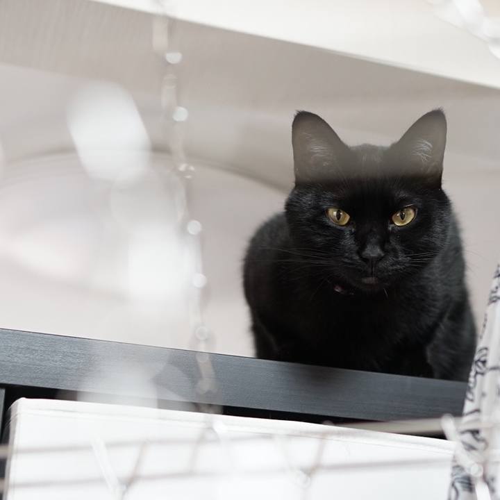 63e9ab0c 7e08 4fce bb0d 7ba2a0ff0fdc 1561298199615