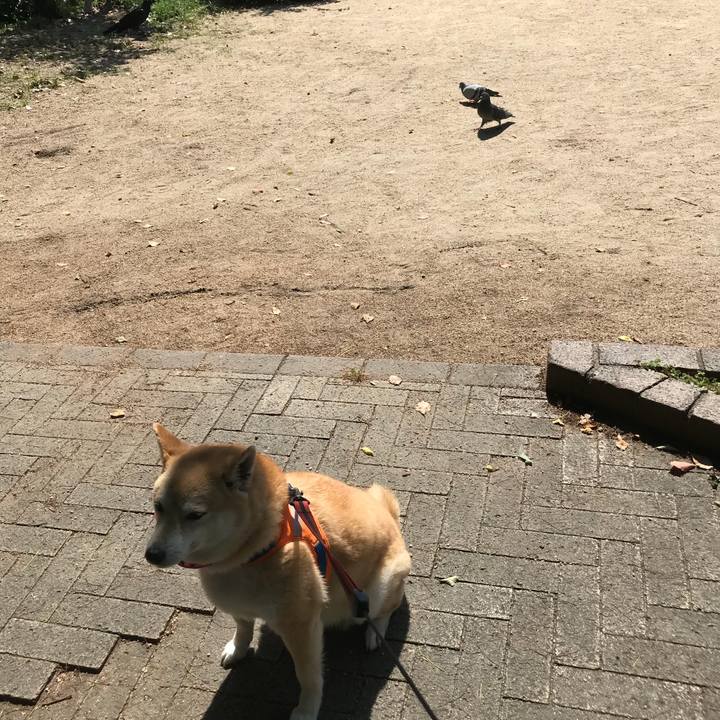 63e9ff00 804d 4a82 a19e bcbdd4def5ee 1528121153931