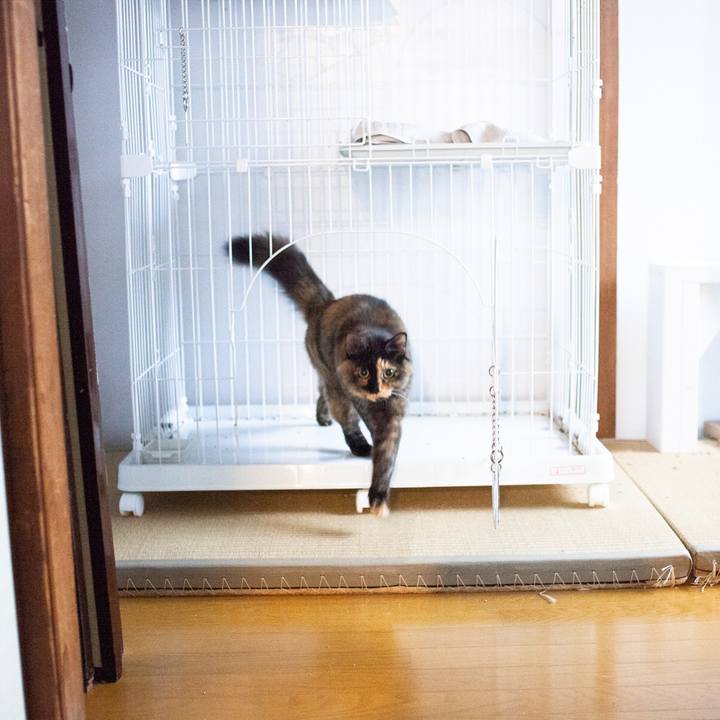 63ea29bb 4a81 4e89 a33f 876e1555b33c 1576217477615