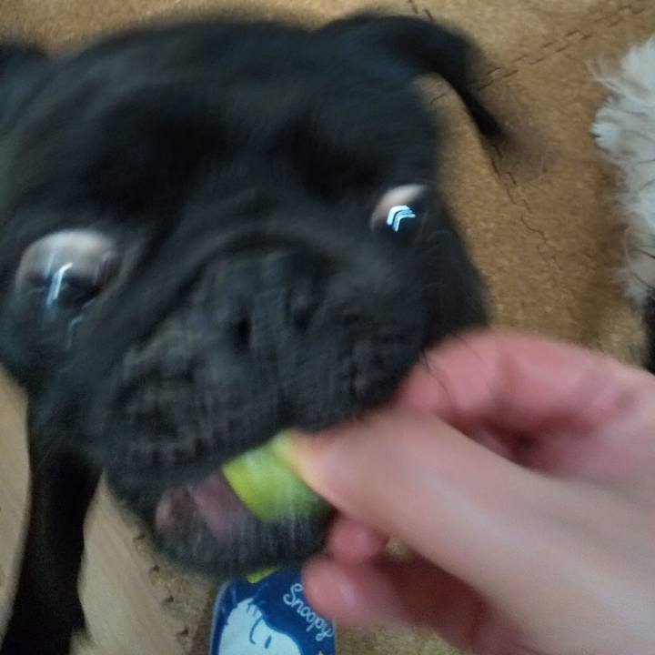 63ea30f3 d98f 4244 b27f e2860c8ae187 1588250891638