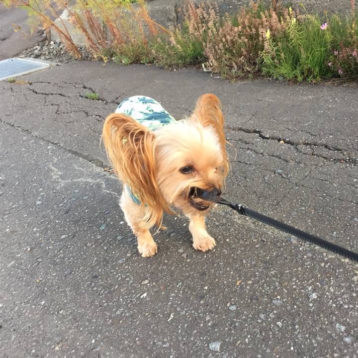 63ea3a68 9590 428b 9503 1384be9b3b50 1537480806991