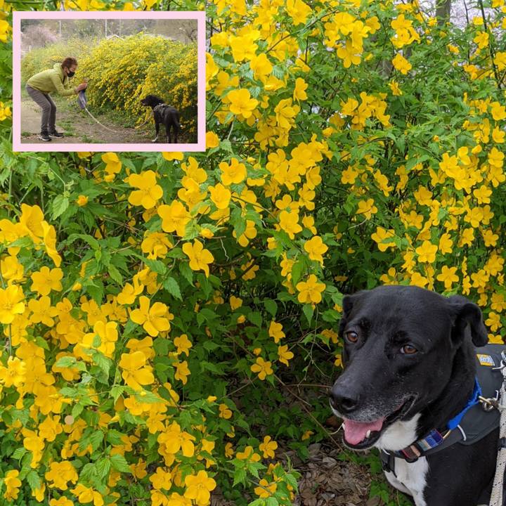 63ea4943 8b10 4782 84b6 c60ab55c155b 1649293295302