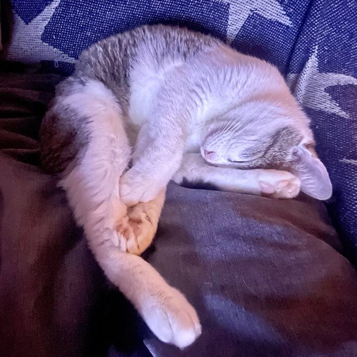 63ea653a 6ccd 48a1 8dbf 1387bd7d6a6c 1627998080136