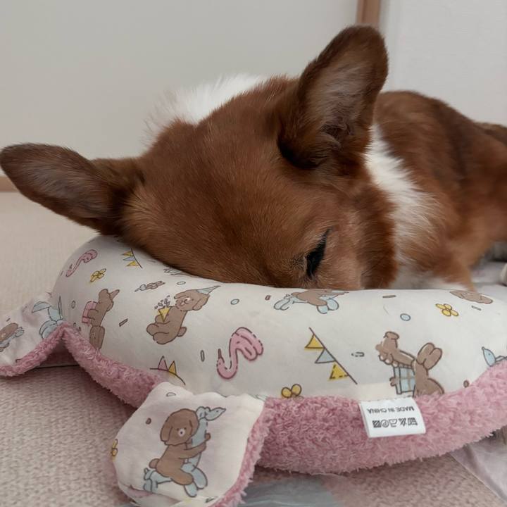 63ea761a f04c 4020 aa15 6aaf91fe84cf 1754805995618