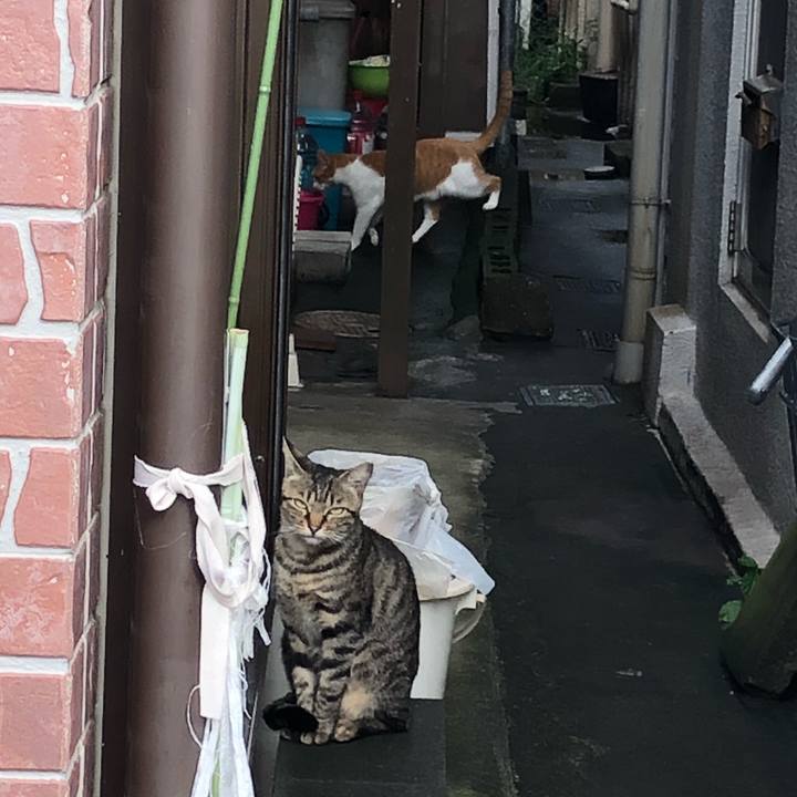 63eab0e6 ce76 4e7d 9c0f 82202a8da604 1537022000523