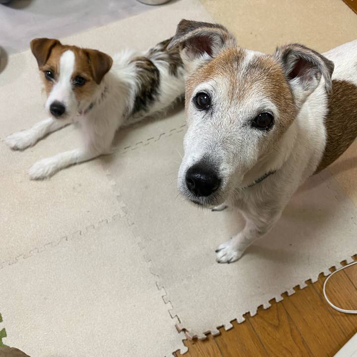 63eabda5 5b52 4b76 9498 03696eb1c2b7 1630619391467