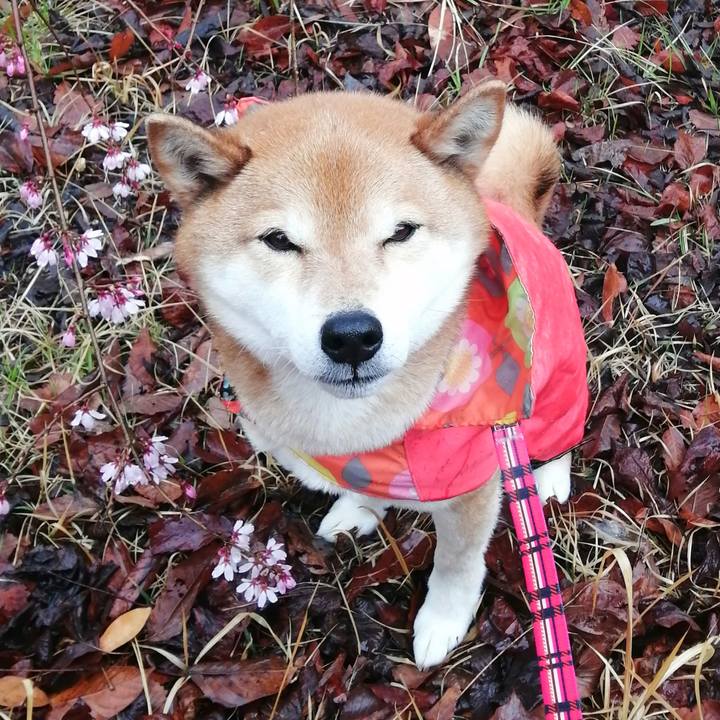 63eb3277 39d6 4fc0 8bf6 6f844dc57604 1679101469767