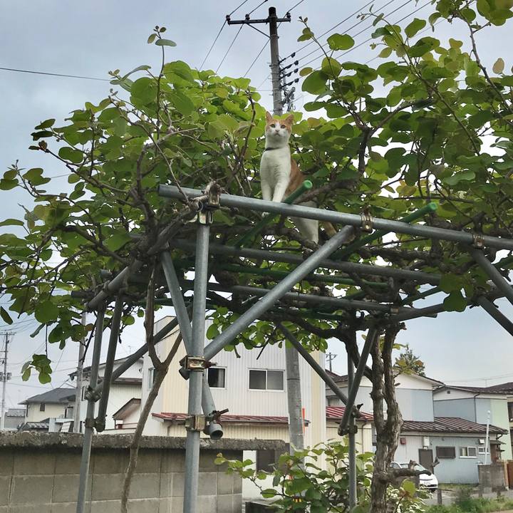 63eb71fb 60cf 4645 8629 b8dc5fd0b3c2 1525603645698