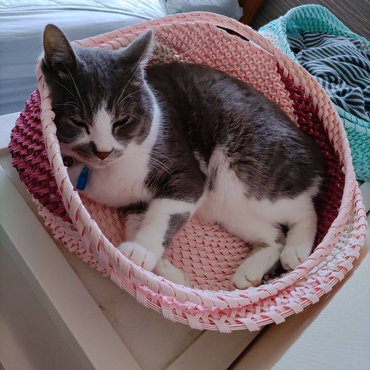 63eb7e5e 74ca 4cf9 bcb3 5e277350c312 1720582441859