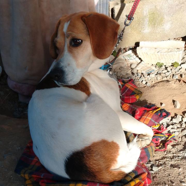 63eba1e8 5041 4714 bfbd 1aacc32c9b82 1614585051988