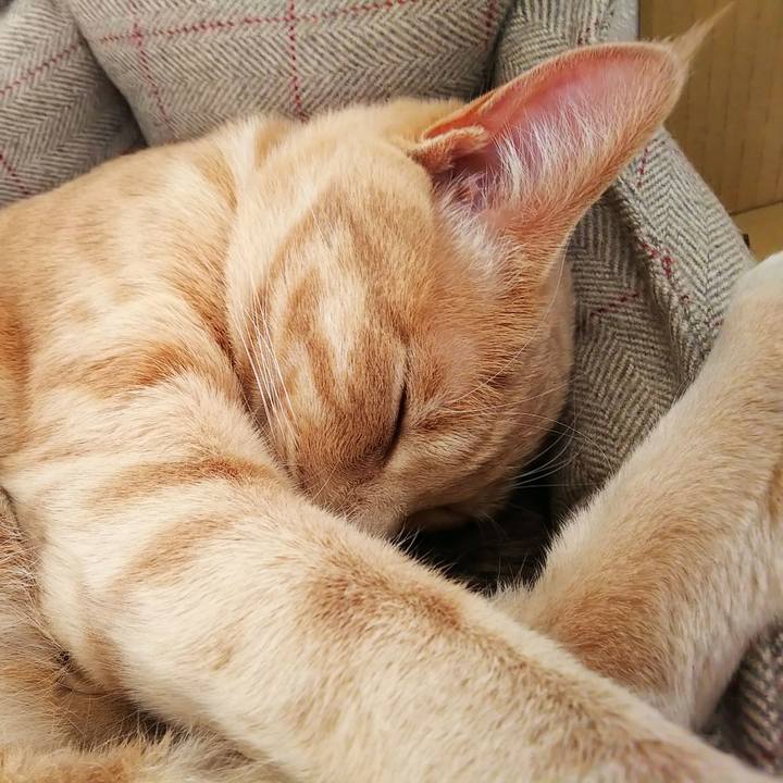 63ebca7a 5691 41cf badc 9b403efa9b9e 1553319520194