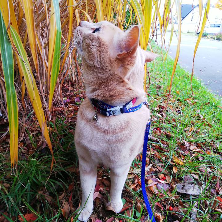 63ebd99b d3e2 4ed4 94ac 3ffc6ae821a6 1604191537981