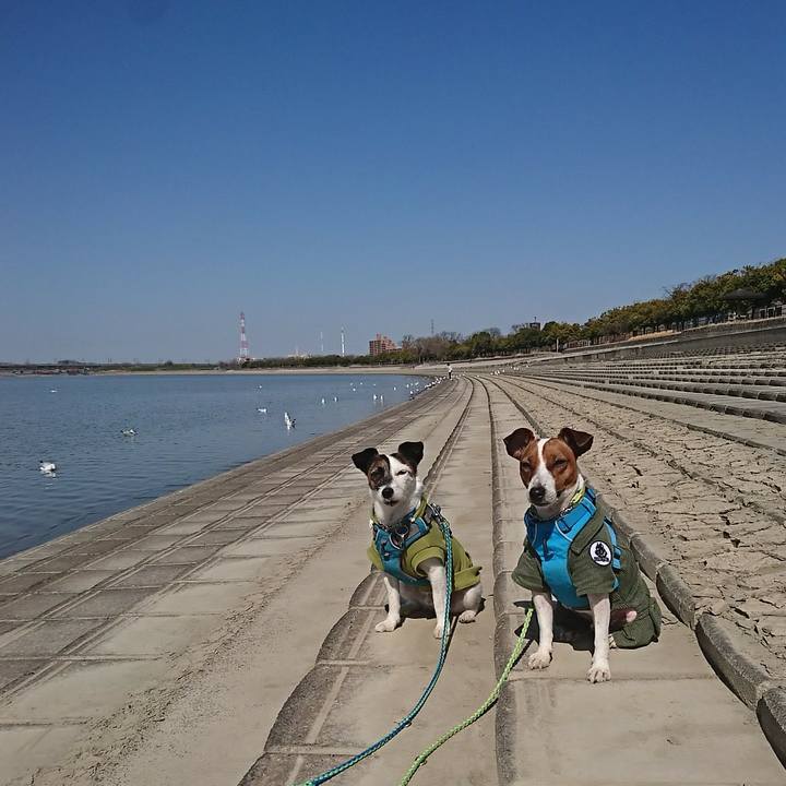 63ebf5a9 891d 4b28 a1cd 22096c735d20 1582515014578