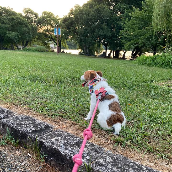 63ec0e1e 3360 4f47 9251 63fb6098a53d 1754220640477